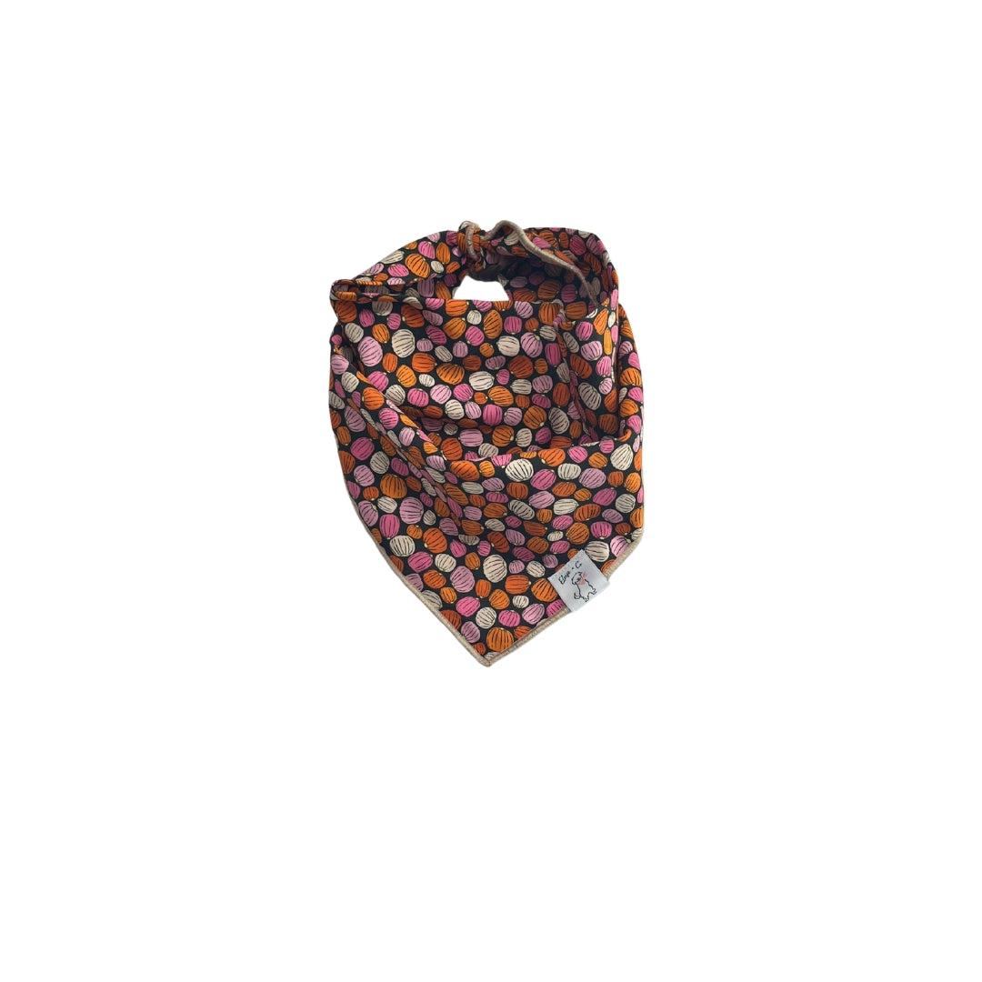 Pumpkin Patch Bandana