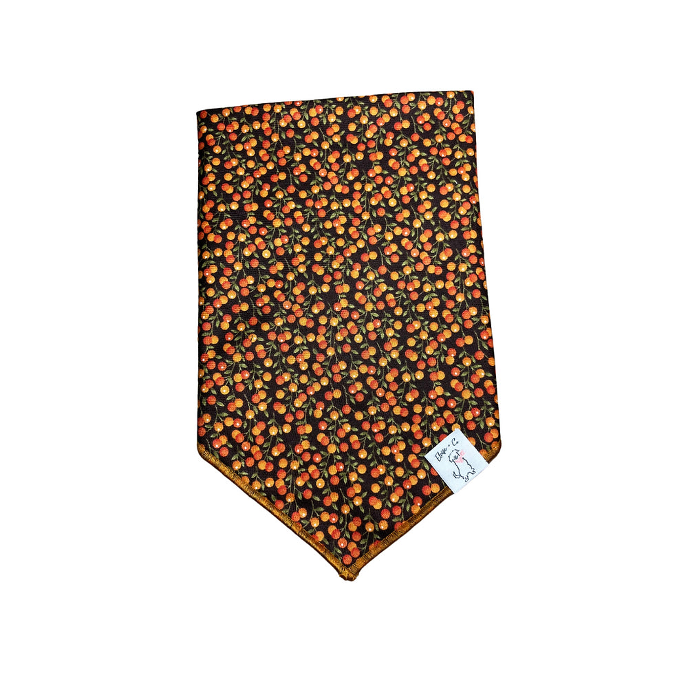 Autumn Harvest Bandana