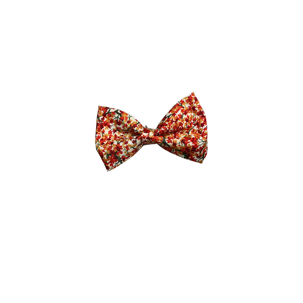 Falling For You Bow Tie
