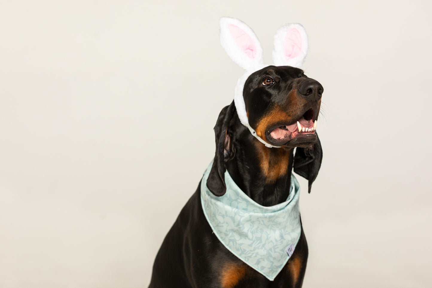 Bunny Hop Blue Bandana
