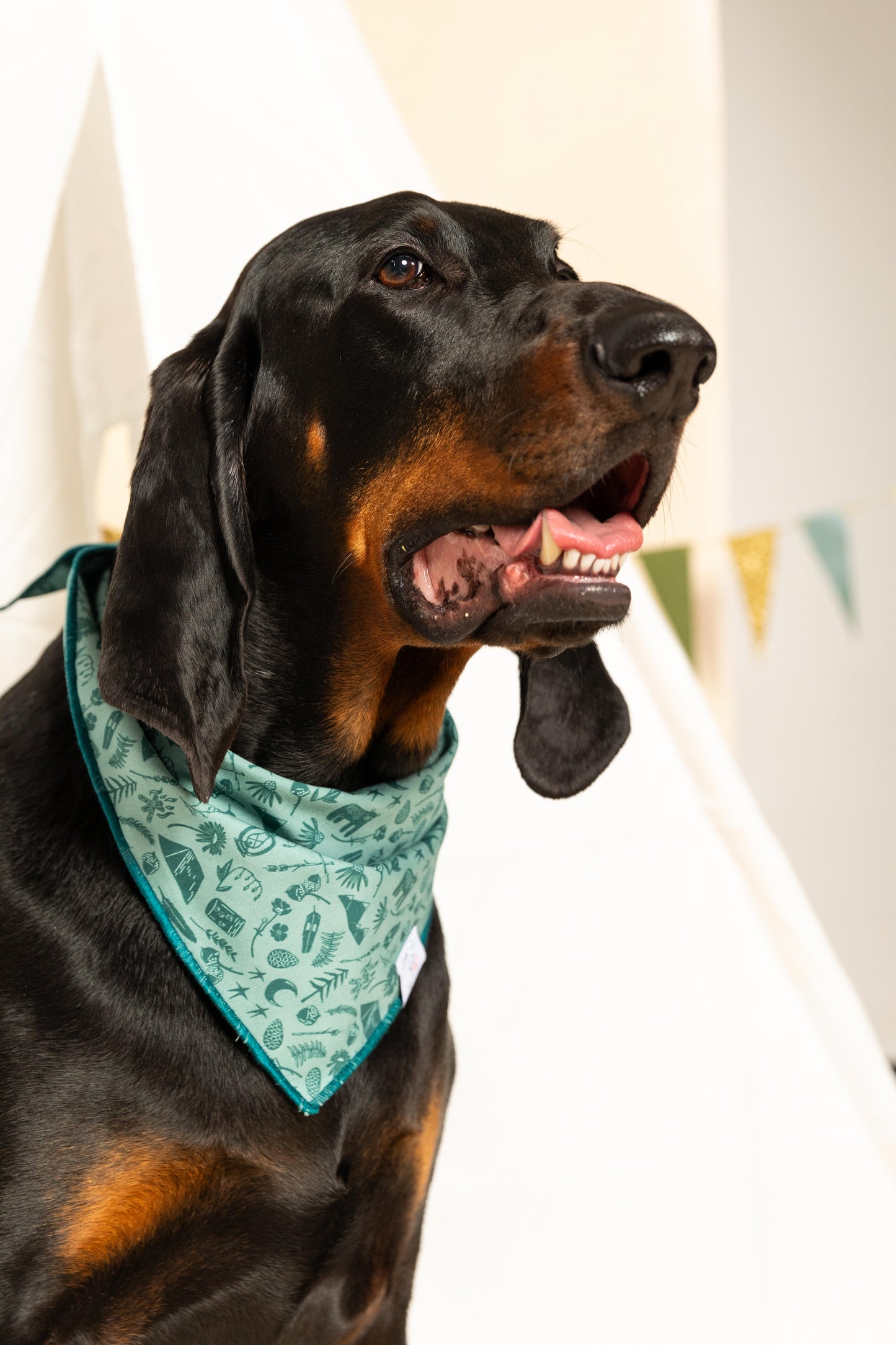 Camping Adventure Bandana
