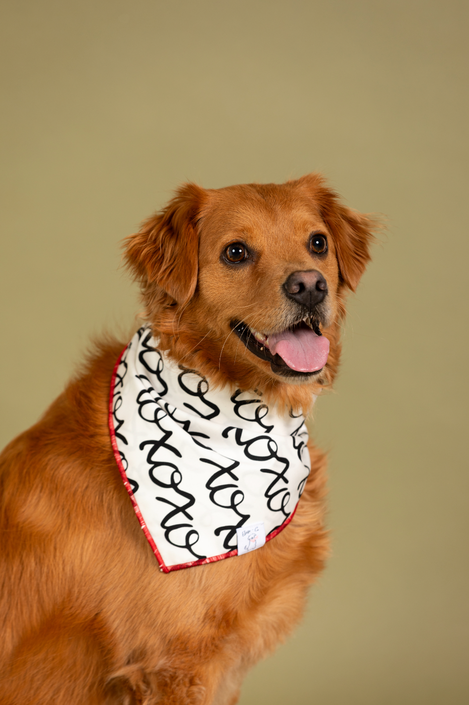 Valentine Wishes Bandana