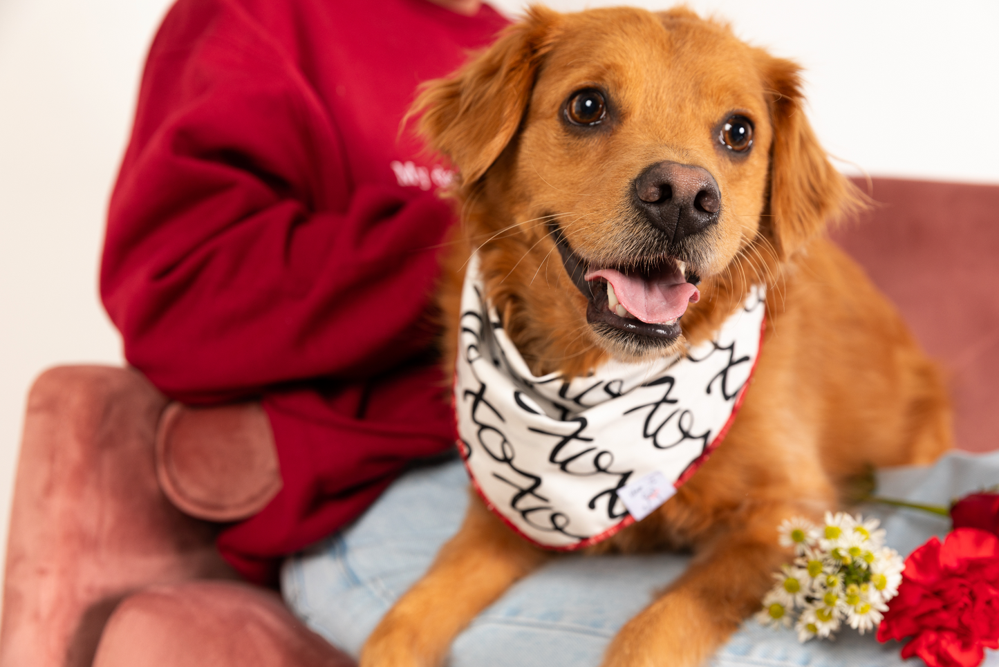 Valentine Wishes Bandana