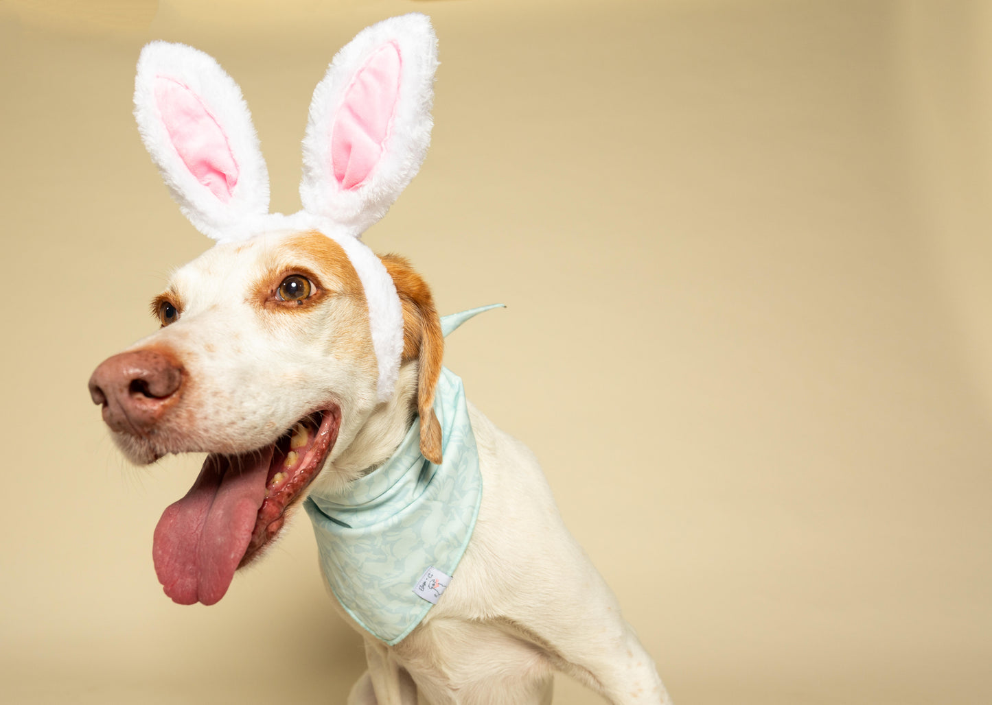 Bunny Hop Blue Bandana