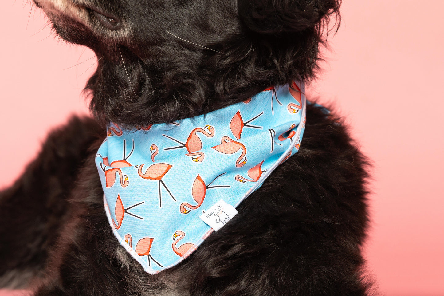 Flamingo Paradise Bandana