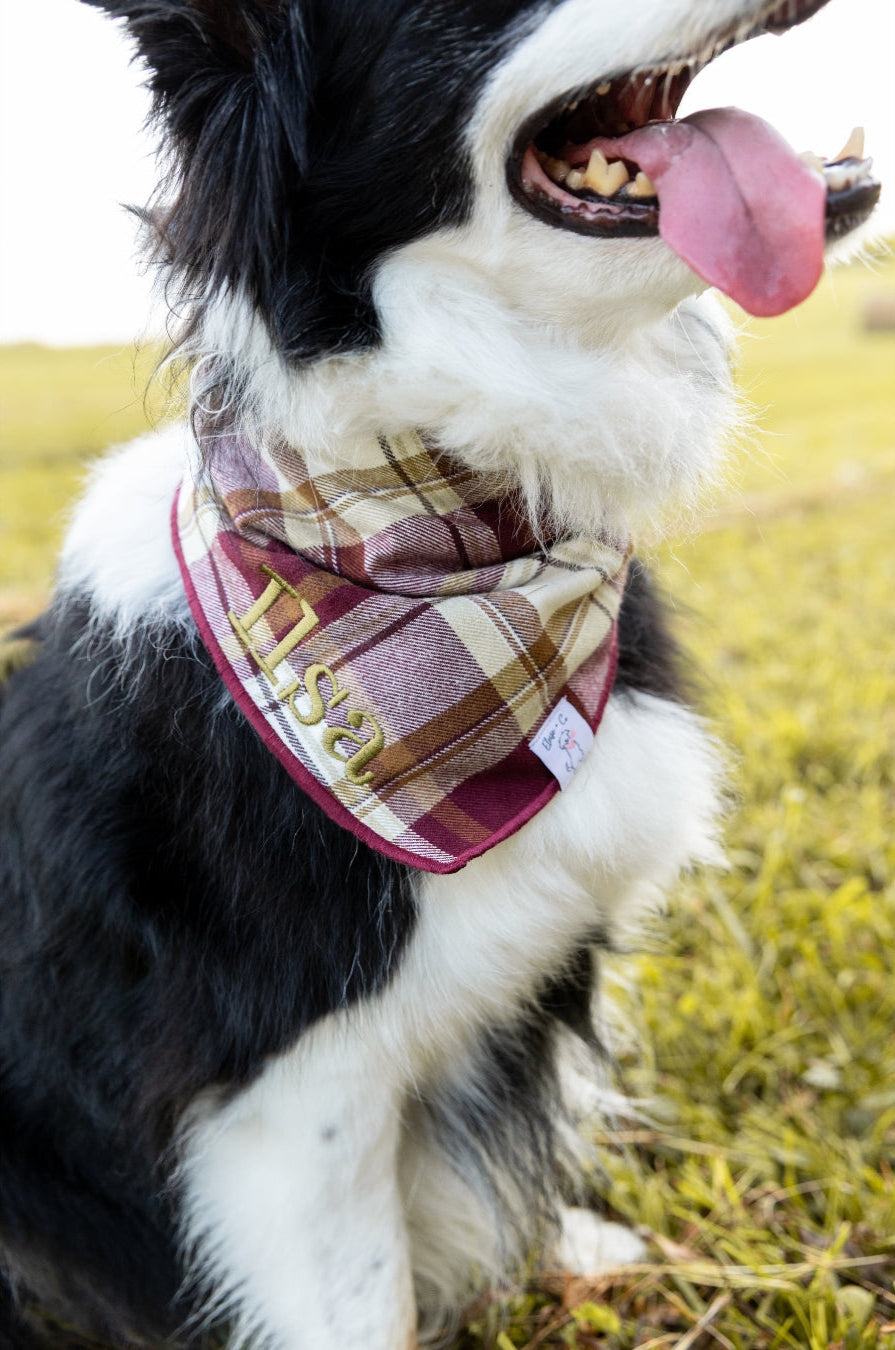 Bandanas
