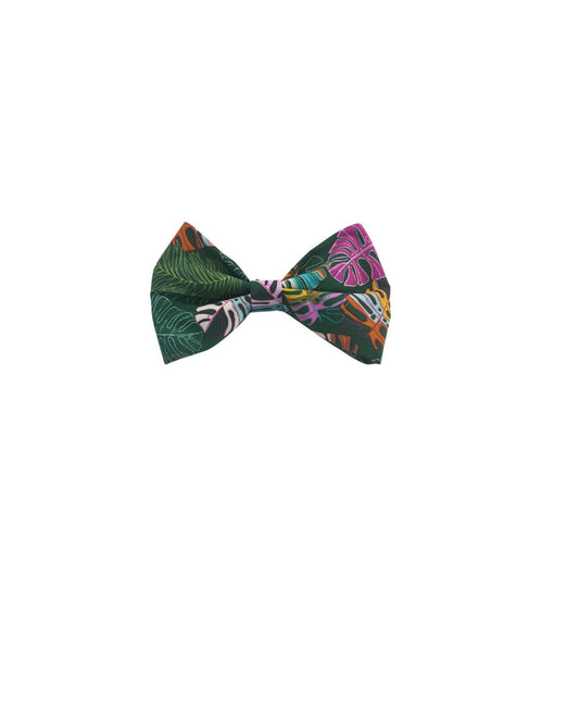 Electric Jungle Bow Time
