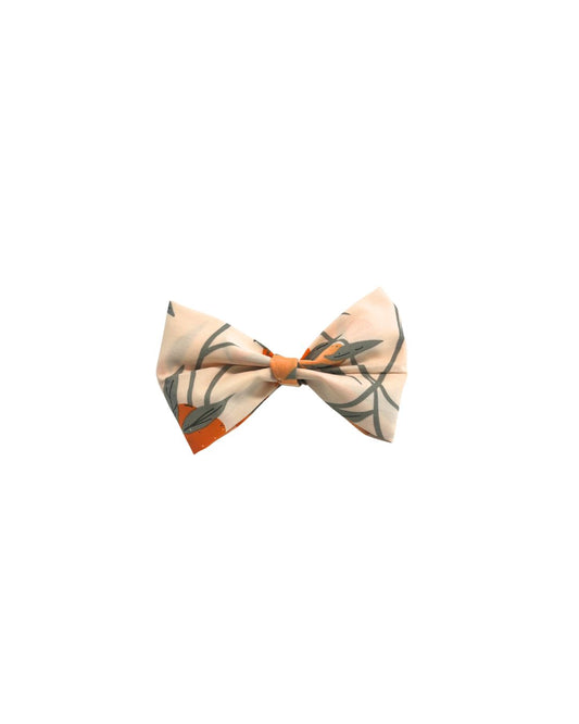 Golden Orchard Bow Time