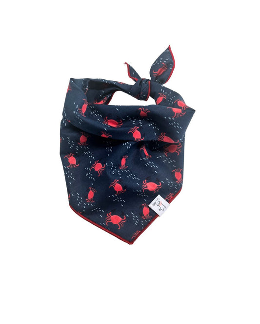 Seaside snap Bandana
