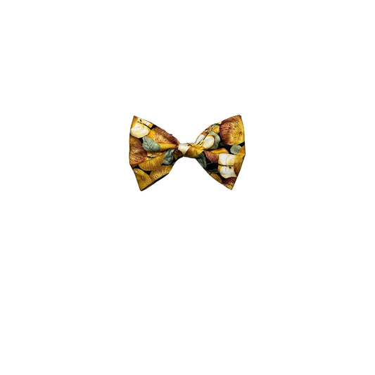 Orchard Days Bow Tie