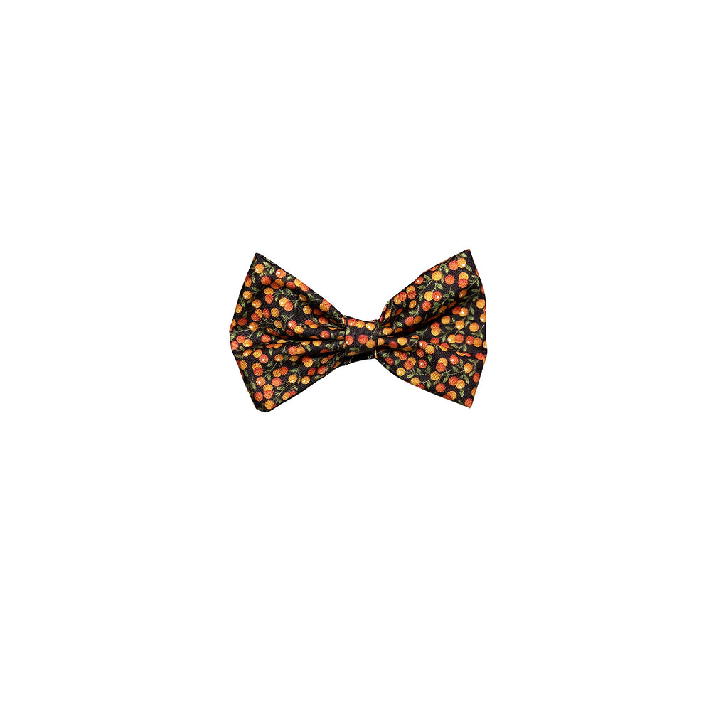 Autumn Harvest Bow Tie