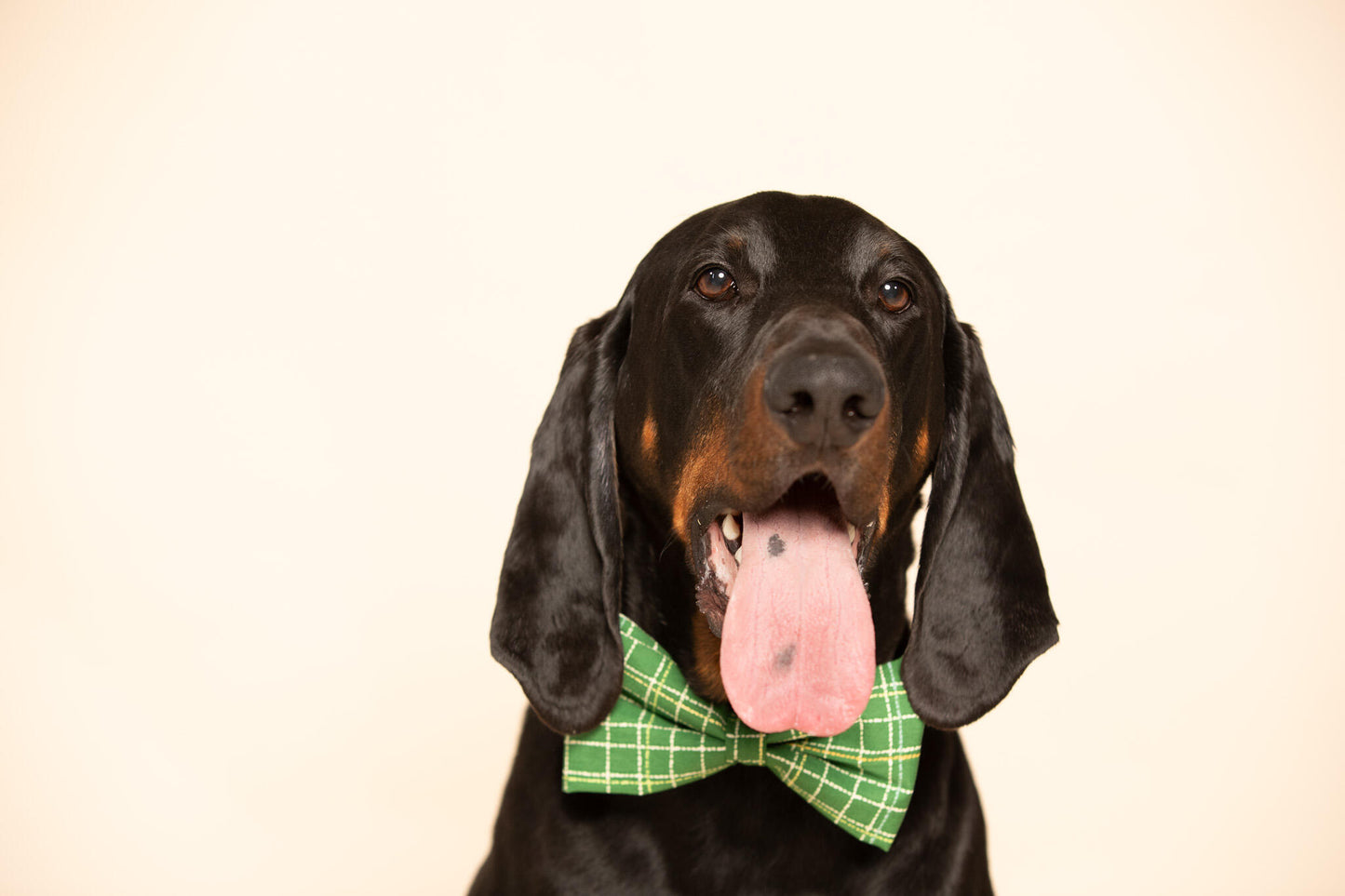 Emerald Isle Bow Tie